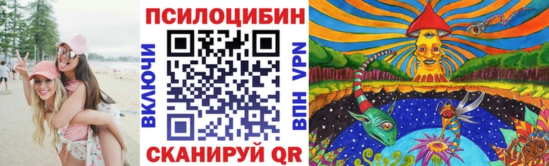 Купить закладки  Буйнакск  Псилоцибиновые грибы мицелий 