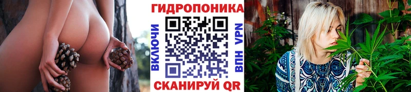 Купить закладки  Буйнакск  Бошки Шишки семена 
